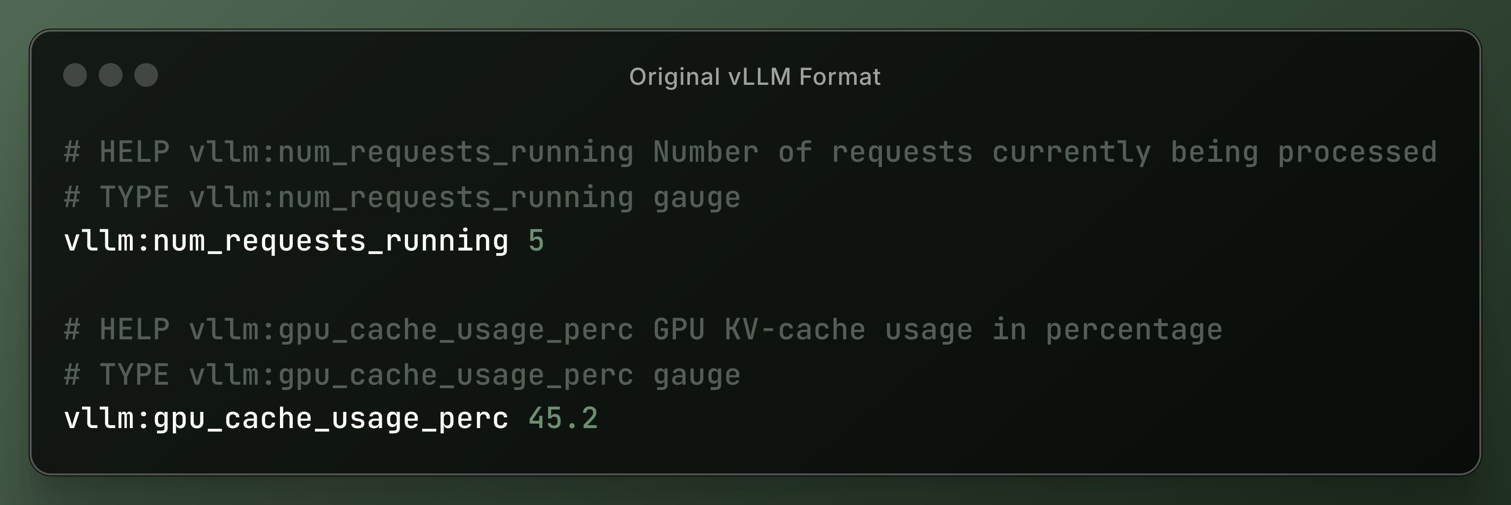 Original vLLM Format